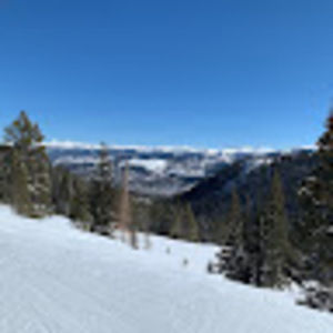 Meet your Posher, William